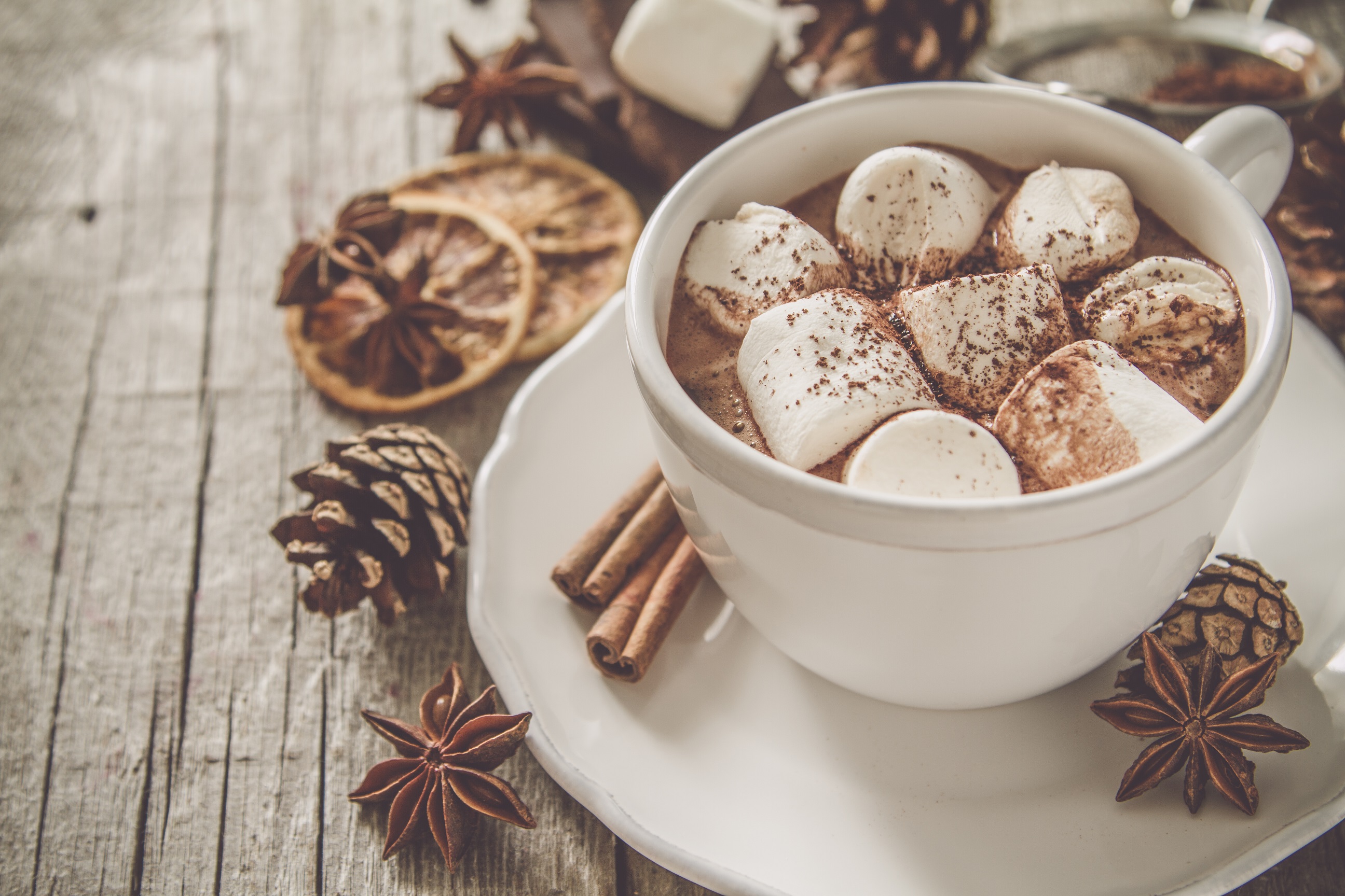 Chocolat chaud à la cannelle et aux marshmallows