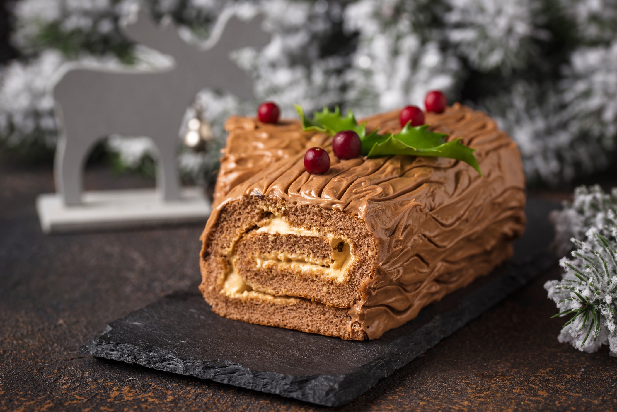 Bûche de Noël au Cacao et Mascarpone