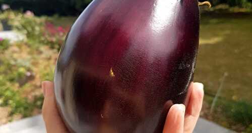 Comment Cuisiner les Aubergines pour en Tirer le Meilleur...