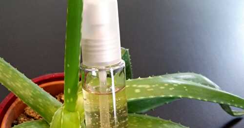 DIY Sérum Visage anti-imperfections à l'Aloe Vera pour le Carnaval des Blogs et des Plantes de Mars : Recette Express