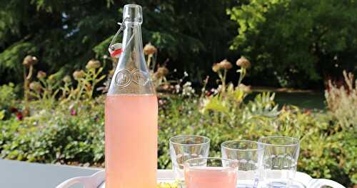 Réussir son Kéfir de Fruits, Boisson Fermentée Maison