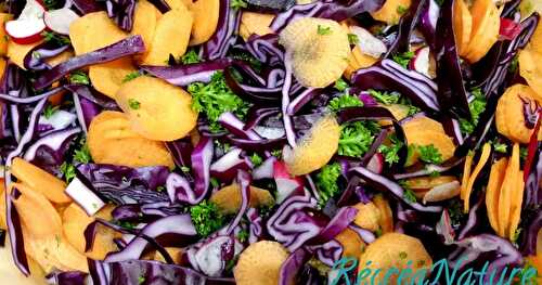 Salade Végétarienne pour une Entrée Saine et Facile : Chou Rouge, Carottes, Radis et Persil du Jardin