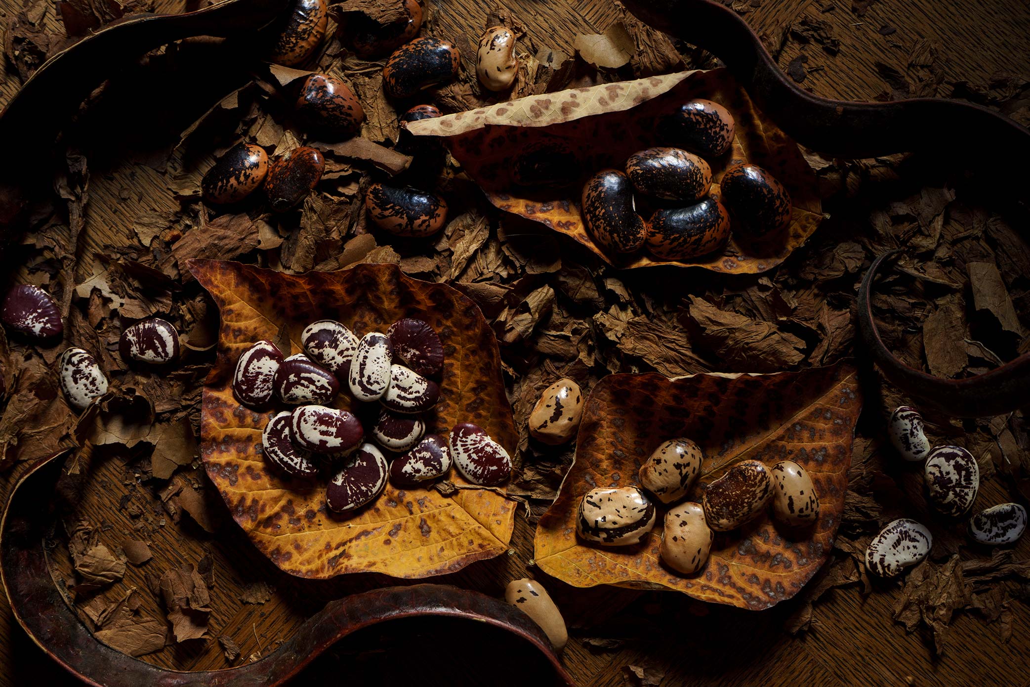 Grand minestrone d’automne