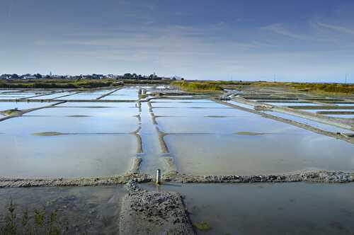 La fleur de sel - Conservation - Bienfaits & Utilisation