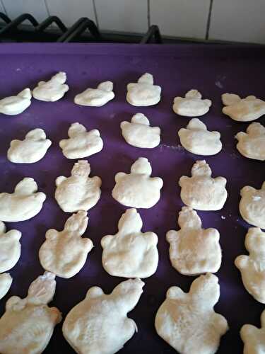 BISCUITS POUR CHIEN