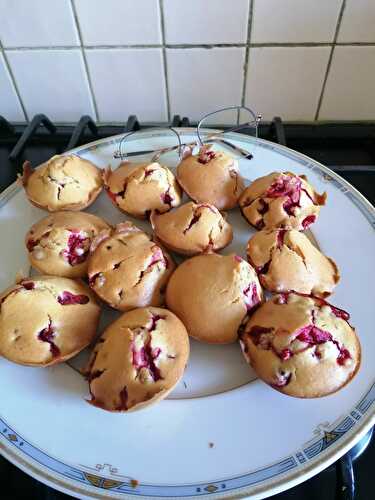 PETITS GATEAUX AUX GROSEILLES