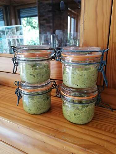 TARTINADE DE COURGETTES