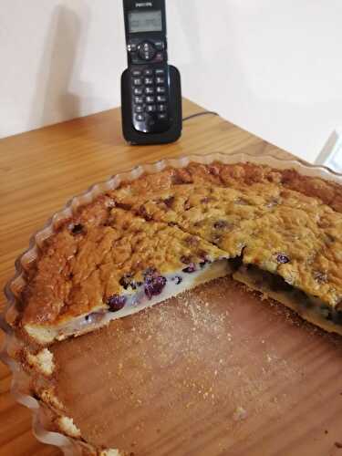 CLAFOUTIS AUX GRAINS DE RAISIN