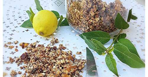 Granola Maison Bio Citron, Gingembre, Chocolat Lait