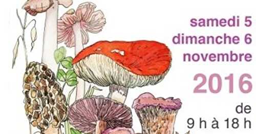 Idée Sortie : Salon du Champignon - 5/6Novembre 2016 - Aix en Provence