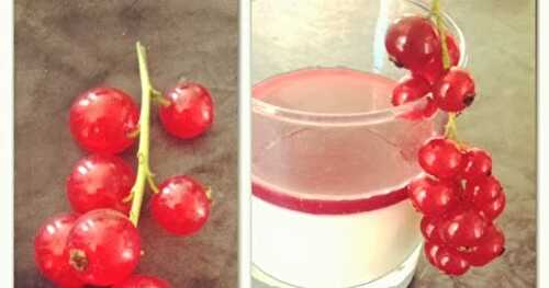 Panacotta aux fruits rouges