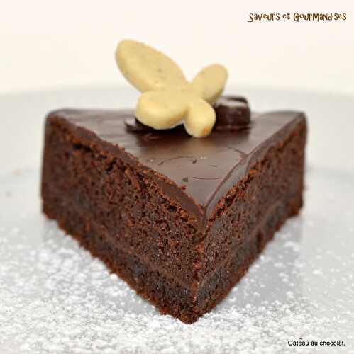 Gâteau Gourmand au Chocolat Bonneterre.