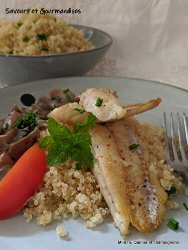 Merlan grillé, Champignons à la crème et Quinoa Blanc.