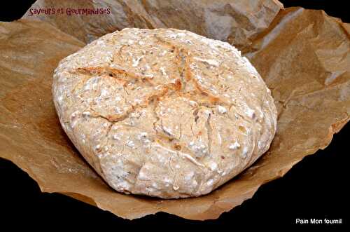 Pain aux Graines sans Gluten Mon Fournil.