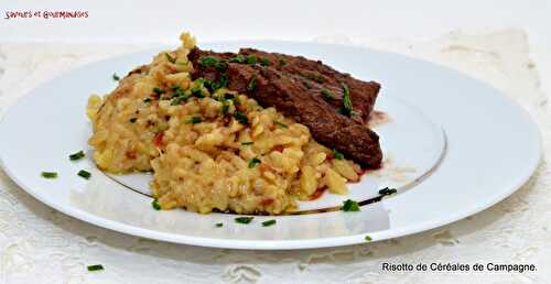 Risotto de Céréales de Campagne Tipiak (au companion).