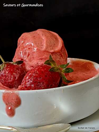 Sorbet de fraises (avec ou sans companion).