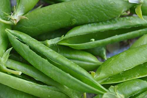 La soupe de cosses de petits pois