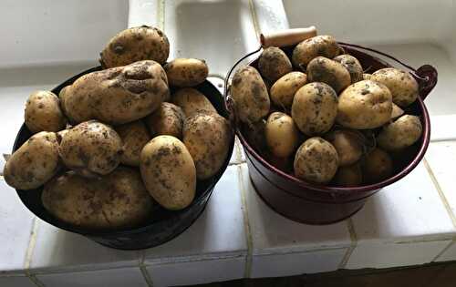 Pommes de terre confites à ma façon