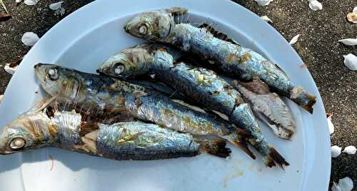 Sardines grillées sans odeurs ni fumée