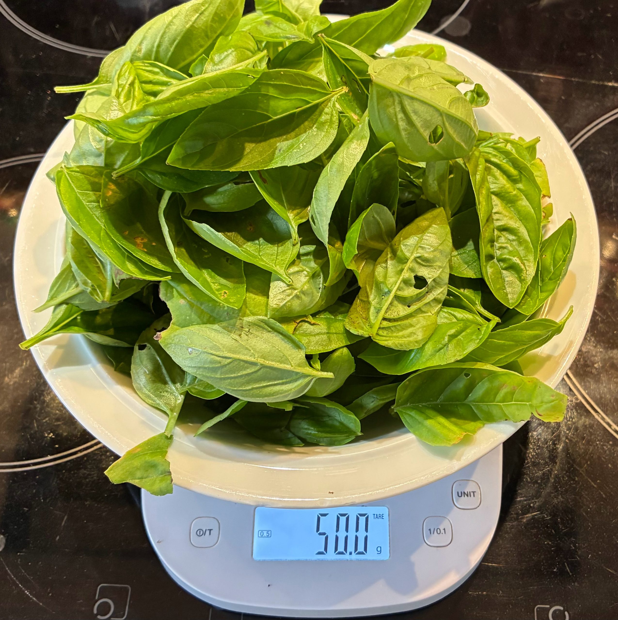 Mon pesto au basilic sans ail