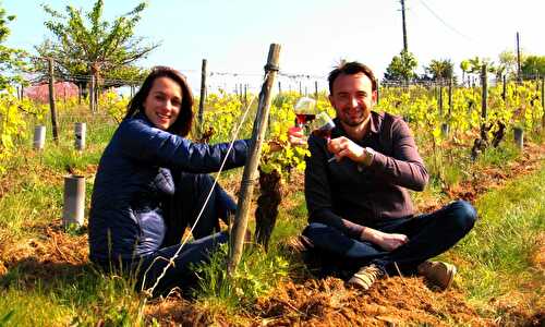 Vigne et gourmandises – escale beaujolaise – recette du gâteau « grand-mère » lyonnais