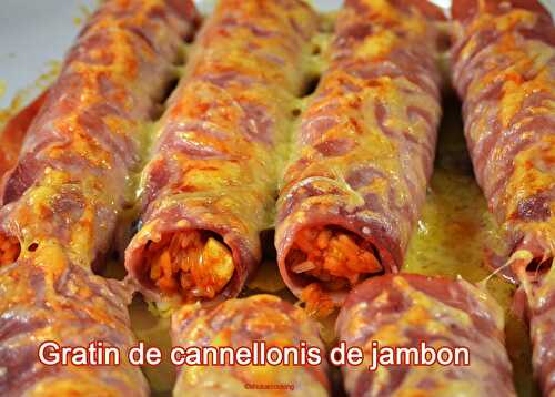 Gratin de cannelloni de jambon