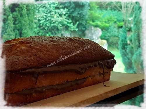 Cake Yaourt & Nutella®