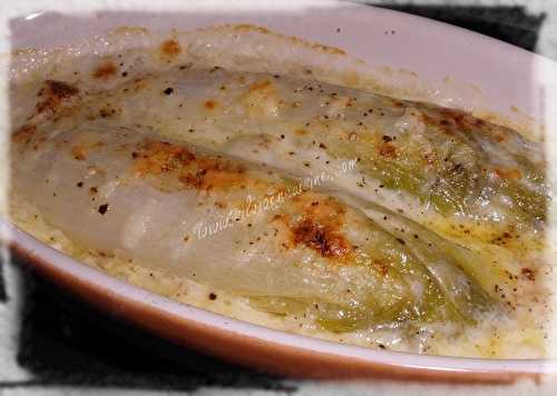 Endives Gratinées au Cantal