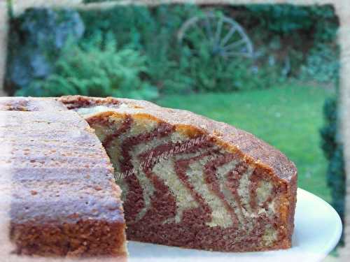 Gâteau Zébré Chocolat Vanille