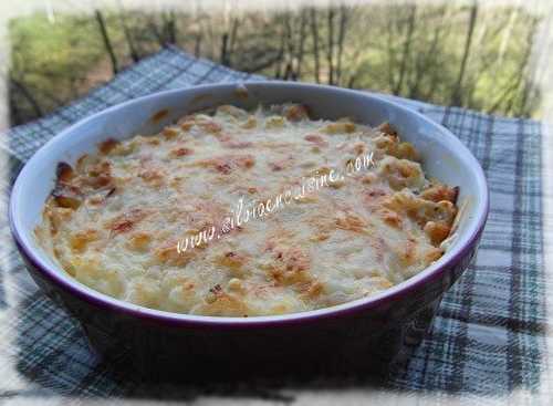 Gratin de Chouchou Blanc au Thon