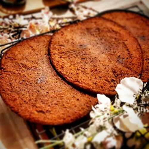 Biscuit Cake au Chocolat