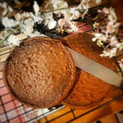 Biscuit Cake au Chocolat