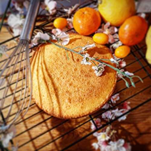 Biscuit Madeleine pour Entremets