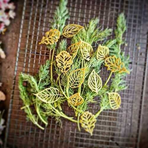 Tuile aux Herbes