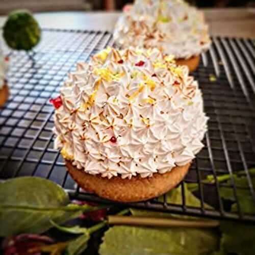 Tartelettes Citrus