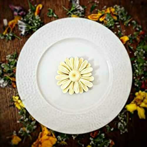 Appareil à Panna Cotta traditionnelle