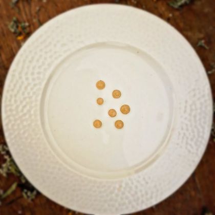 Gel de Crème de Marron