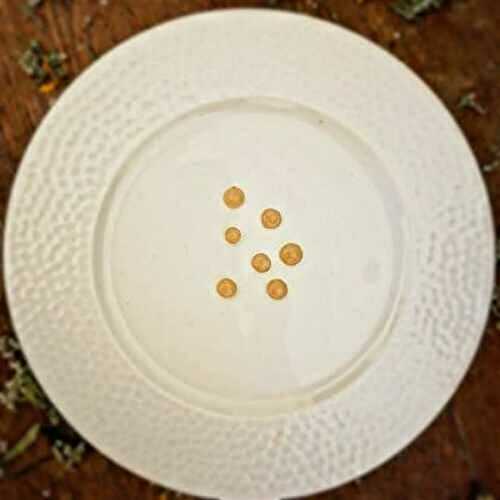 Gel de Crème de Marron