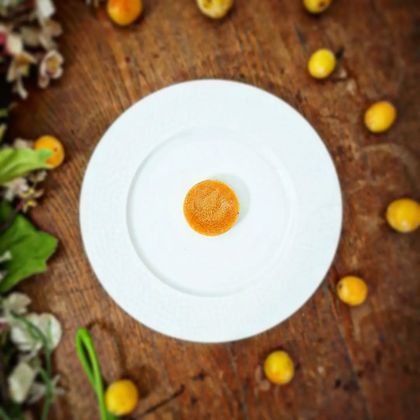 Confit de Mirabelles pour Insert Pectine NH et Gélatine