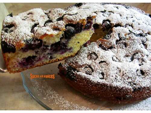 Gâteau moelleux aux myrtilles - Recette en vidéo - www.sucreetepices.com