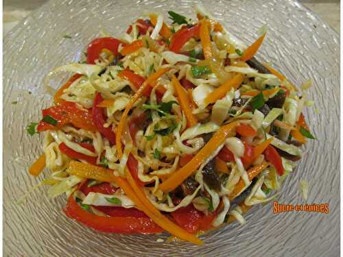Salade de chou aux légumes - www.sucreetepices.com