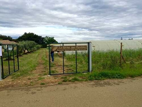 La Ferme des Possibles - ferme agroforestière