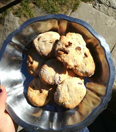 Biscuits moelleux aux cranberrys Fit (sans MG)