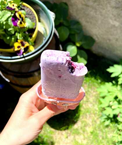 Glace aux Myrtilles Healthy