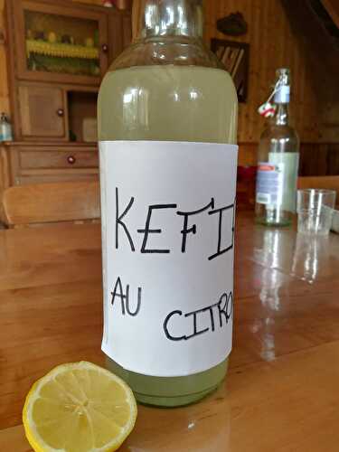 Kéfir de fruits