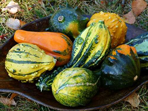 Recettes de courges pour Halloween. Des recettes à base de courges