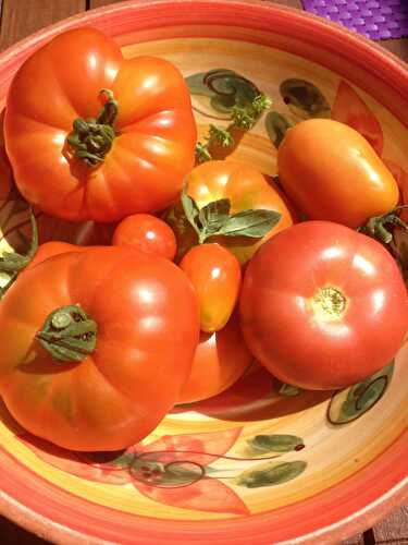 Les tomates farcies de Françoise
