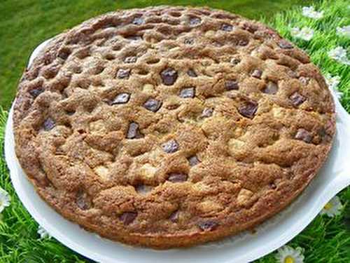 CCOKIE GEANT DE 20 cm (thermomix)