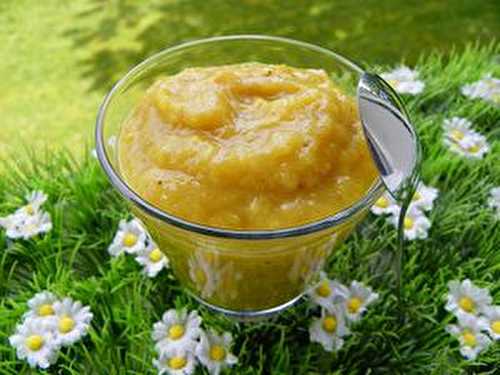 COMPOTE POMMES BANANES MANGUE (thermomix)