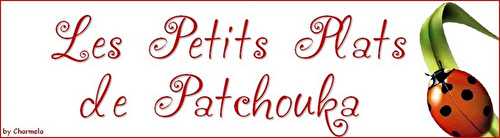 CONCOURS CHEZ "LES PETITS PLATS DE PATCHOUKA"